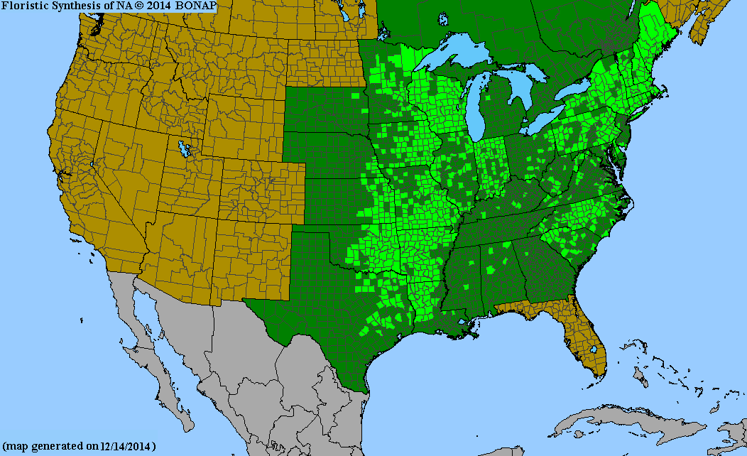 County distribution map of Antennaria parlinii ssp. fallax - Parlin's Pussytoes